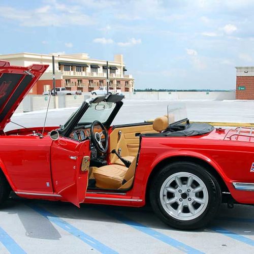 Explore o Melhor da Informação e Cultura com o Portal Boni